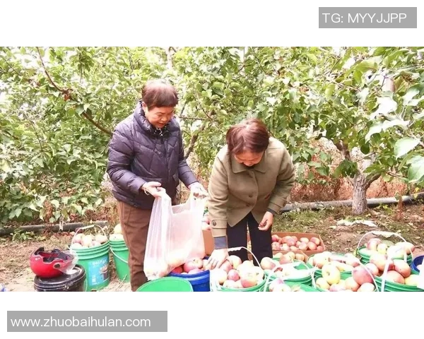 果园采摘之旅:体验丰收季节的自然魅力与农田乐趣 果园采摘之旅:体验丰收季节的自然魅力与农田乐趣