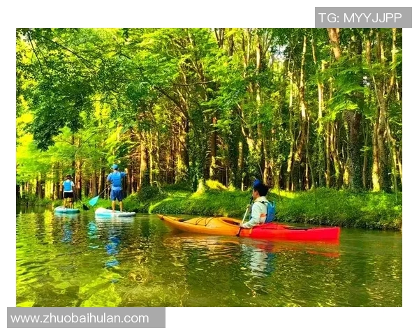 室外泳池周围绿意盎然打造完美度假氛围，尽享清凉夏日时光