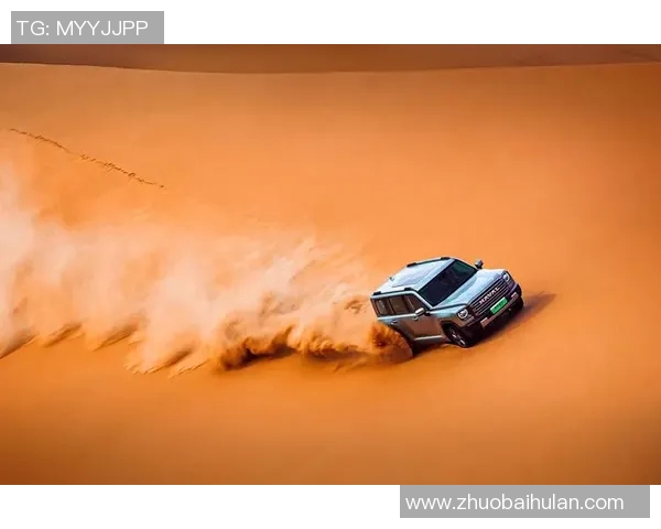 猛龙崛起:探索猛龙背后的神秘世界与文化象征