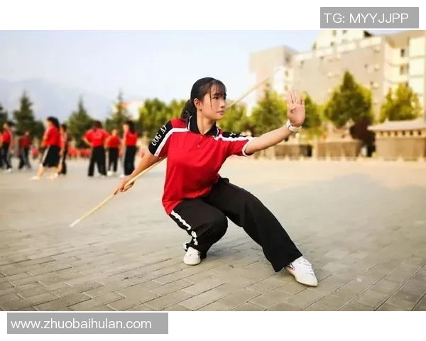 武术文化的传承与创新探索：从传统技艺到现代竞技的演变与挑战